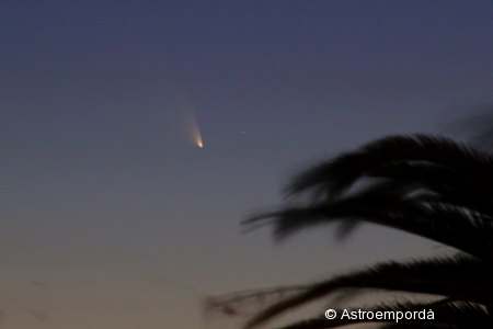 Cometa C/2011 L4 Panstarrs 14/03