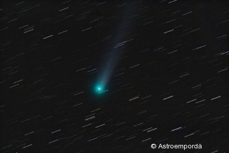 Cometa C/2013 R1 Lovejoy