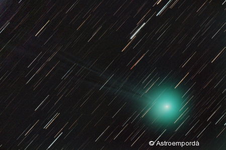 Cometa C/2014 Q2 Lovejoy