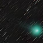 Cometa C/2014 Q2 Lovejoy