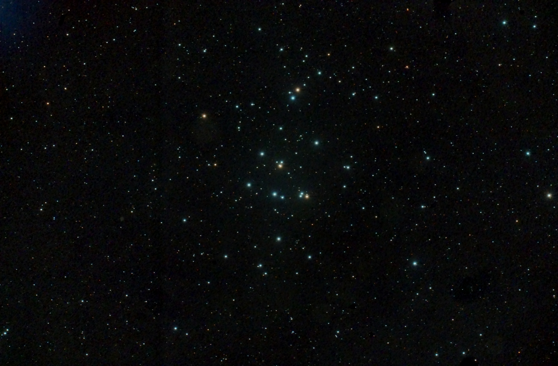 Cúmul del pessebre M 44