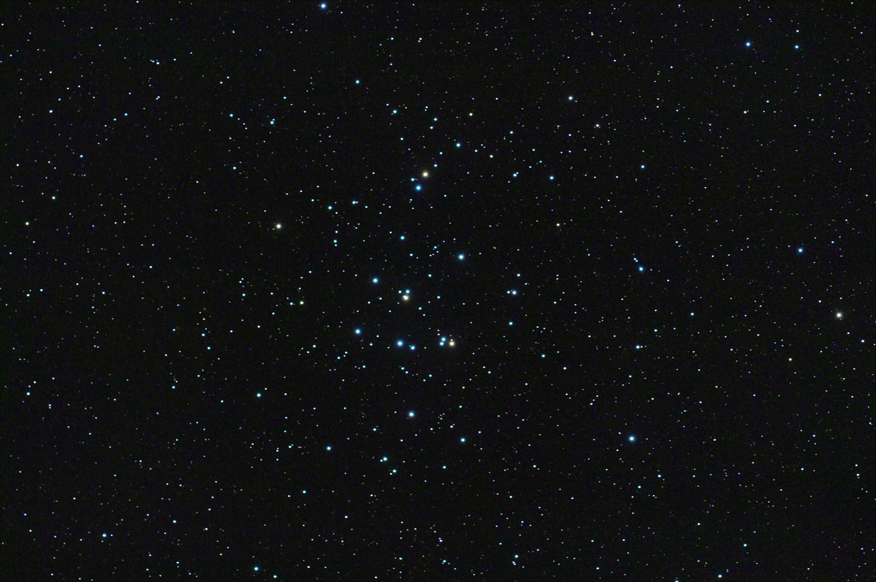 Cúmul del Pessebre M 44