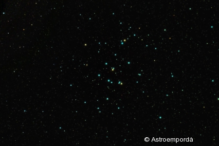 Cúmul M44 a Cranc