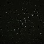 Cúmul del pessebre M 44