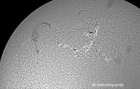 Filaments i taques solars en H-alpha