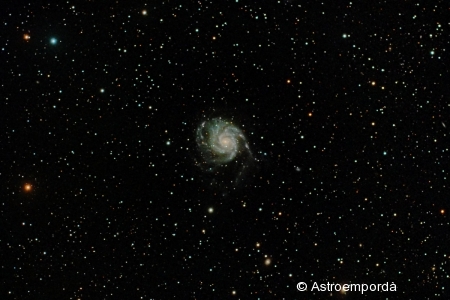 M 101