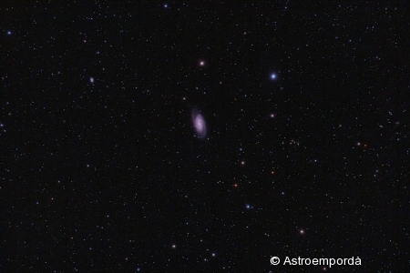 Galàxia NGC2903