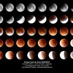 Muntatge de tot l'eclipsi de lluna, una foto cada 5 minuts