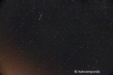 Un munt de perseids!