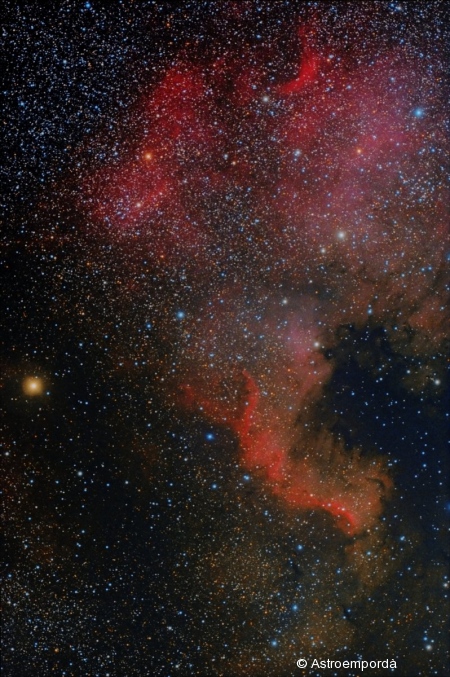 NGC7000 - Nebulosa de nordamèrica
