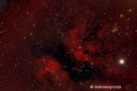 Nebulosa a Gamma Cygni