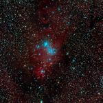 Nebulosa del Con i cúmul de l'arbre de Nadal NGC 2264