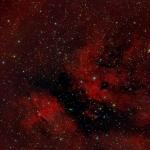 Nebulosa a Gamma Cygni