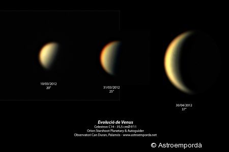 Comparativa triple de la mida de venus