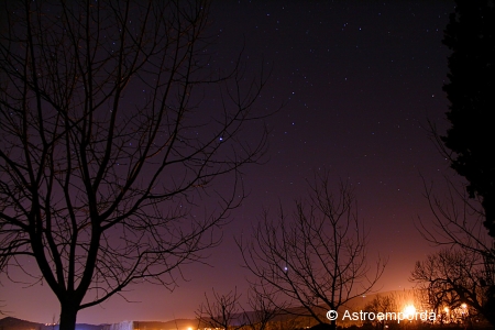 Júpiter i venus entre els arbres