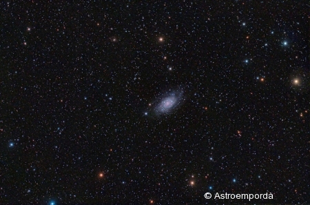 NGC 2403 a Camelopardalis