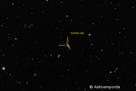 Supernova ASASSN-14lp a NGC4666