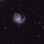 Supernova 2014L a M99