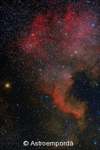 NGC7000 - Nebulosa de nordamèrica