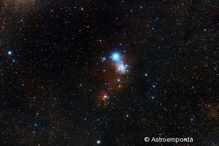 Nebulosa del con NGC 2264