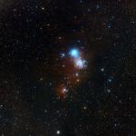 Nebulosa del con NGC 2264